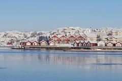 20160121_112435-1