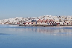 20160121_112435