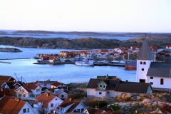 CONVAR342